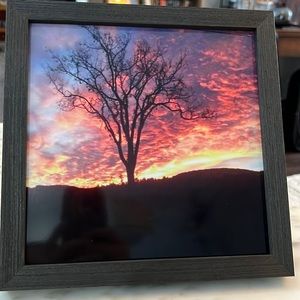 Sunset Tree Original Framed Print 8x8